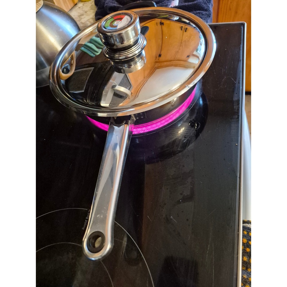 Nutri-Stahl 24-Element Stainless Steel Skillet with Temperature Gauge Lid 9.5in